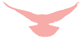 3gYiayImBweMG7bVcjhicKK6VlBDOhMC3AEibodlM2PV7z6ScWtbxAM5krEa08sK7rRD2LlgCwXbLPrupJllL9LtA